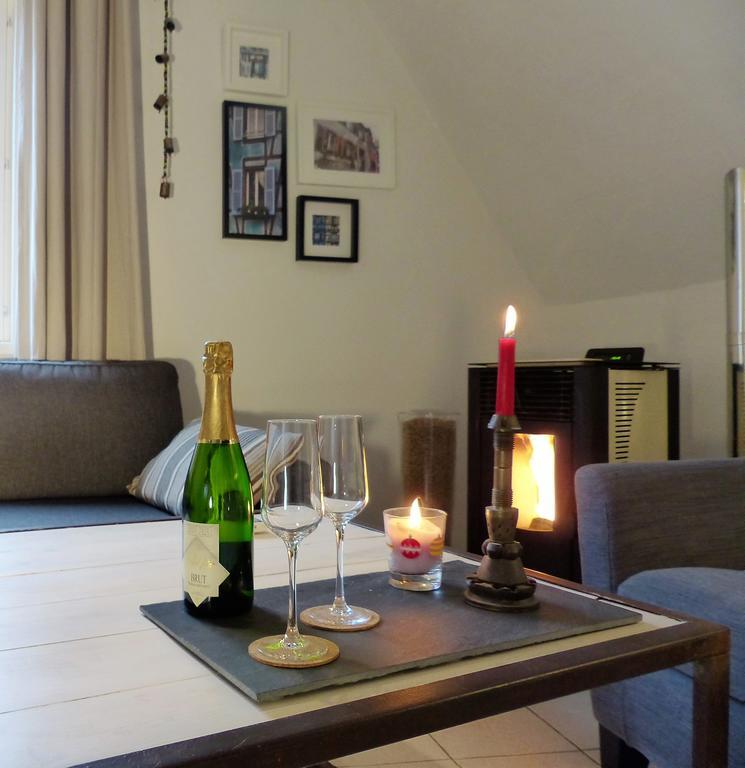 Apartmán La Venise Bleue Colmar Exteriér fotografie